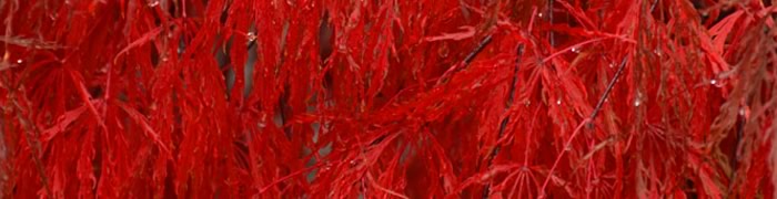 Photo La Fraternelle